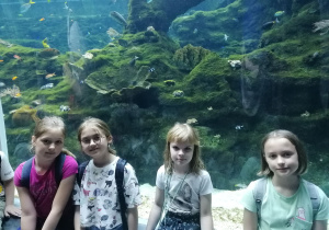 Orientarium- akwarium z koralowcami