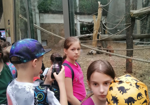 Spacer po orientarium
