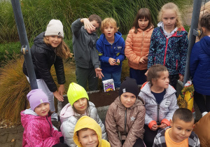 Sadzenie tulipanów w donicach