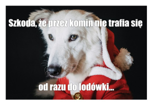 MEM - z komina do lodówki