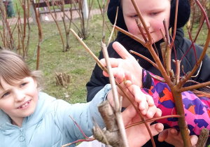 Dziewczynki pokazują jak drzewa wypuszczają liście.