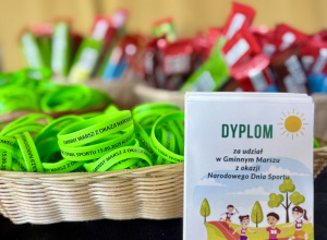 Gminny Marsz z okazji Narodowego Dnia Sportu