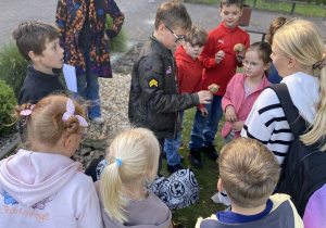 Uczniowie rozpoznają grzyby.