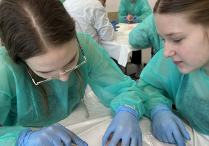 uczennice nacinają serce