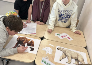 uczniowie wykonują zadania