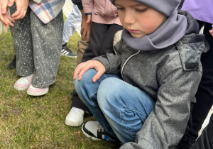 uczeń trzyma w ręce biedronkę