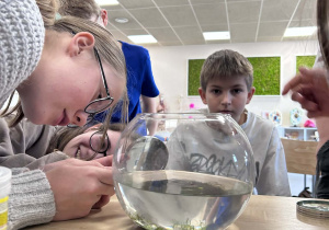 uczniowie oglądają w przybliżeniu krewetkę