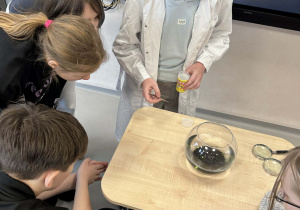 uczeń karmi swoje krewetki karmą