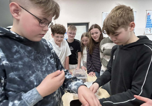 uczniowie obserwują z bliska patyczaki