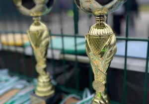 Puchary za zwycięstwo w turnieju