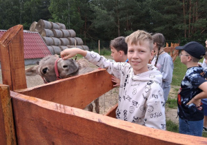 Wizyta na ranczo 3