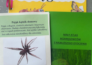 atlasy bezkręgowców najbliższej okolicy