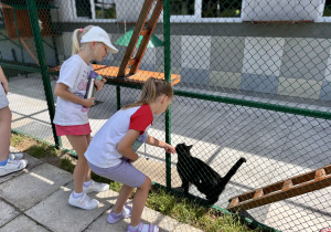 Uczennice bawią się z kotkiem.