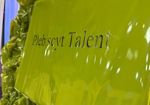 Plebiscyt Talent.