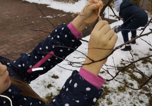dziewczynka wiesza słoninkę na gałązce