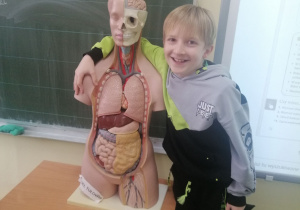 Uczeń z modelem anatomicznym