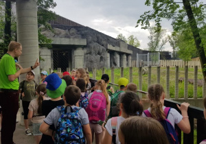 Cenne wskazówki przed zwiedzaniem ZOO