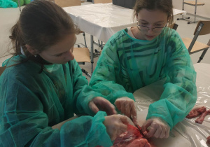dziewczynki podczas sekcji płuc