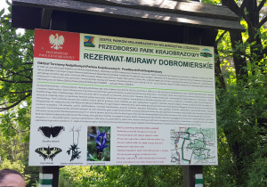 Przedborski Park Krajobrazowy.